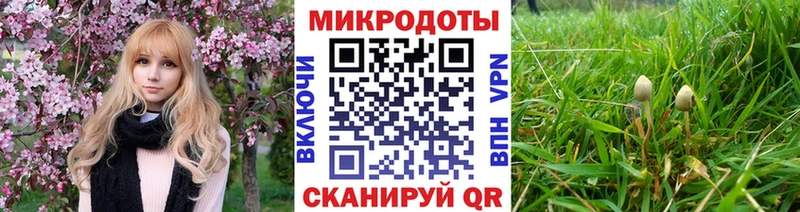 Псилоцибиновые грибы мицелий  наркошоп  Норильск 