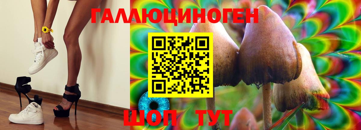 НБОМе  ГАШ  Вход с VPN  Меф   Норильск  МДМА 